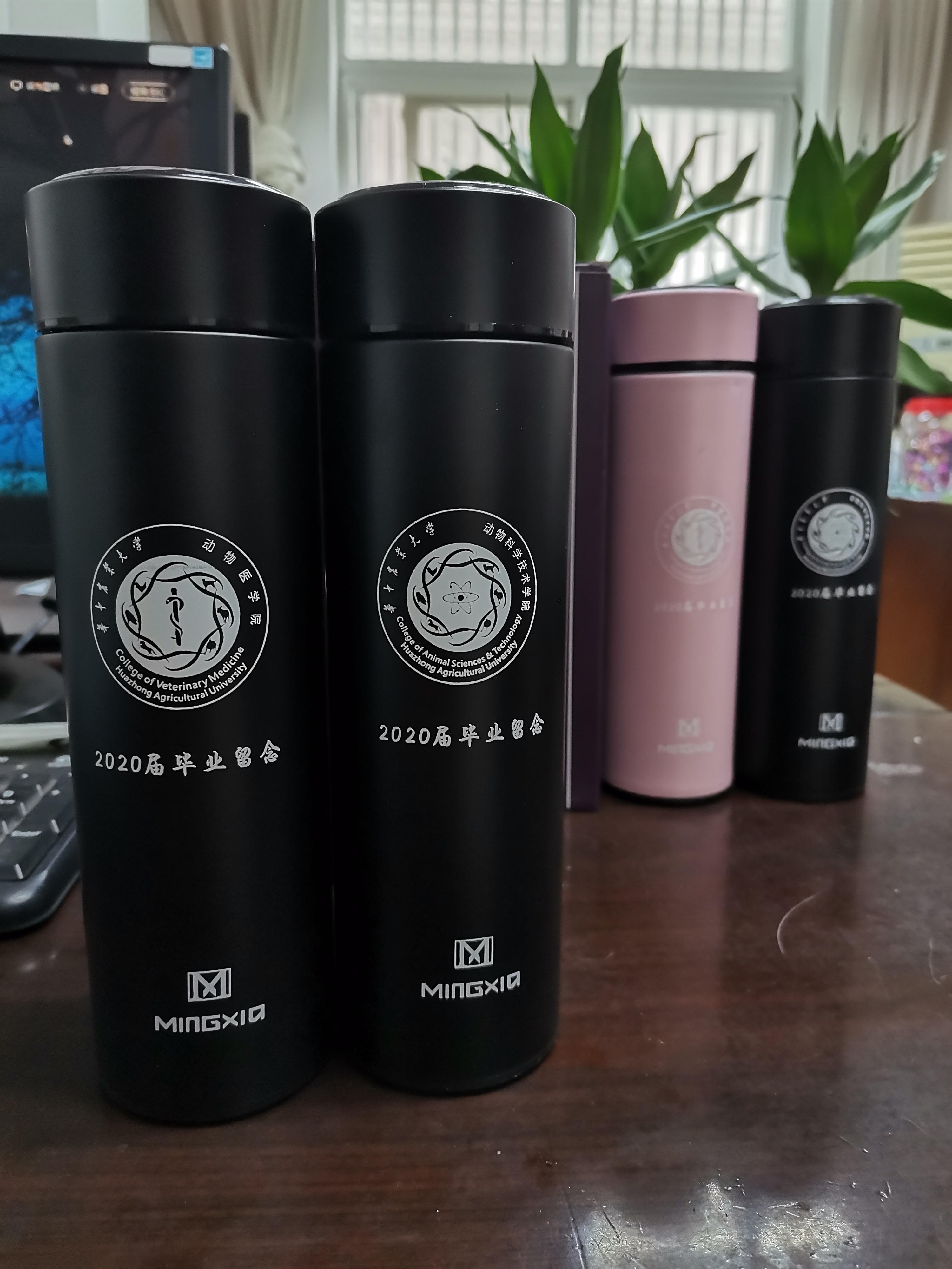 赢咖毕业礼物